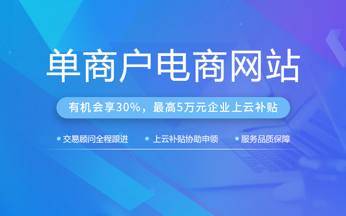 常见的电商网站建设类型有哪些